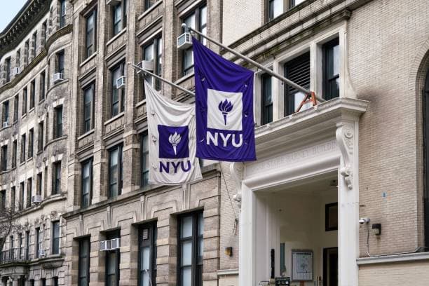 New York University