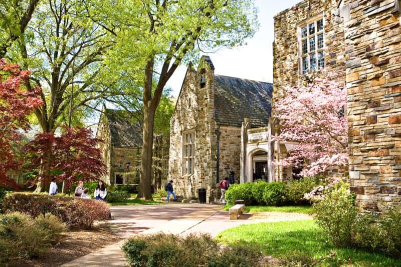 Rhodes College