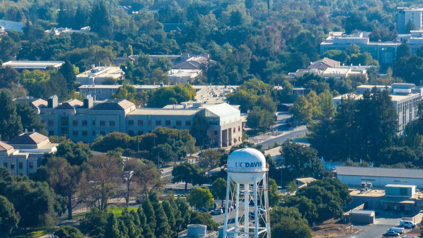 University of California, Davis